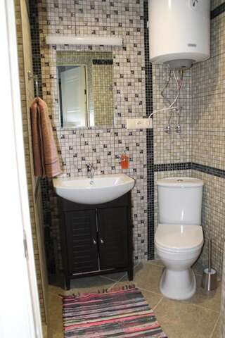 Мини-отель Baza Otdyha Pleshchenitsy Минск Люкс с 1 спальней-4